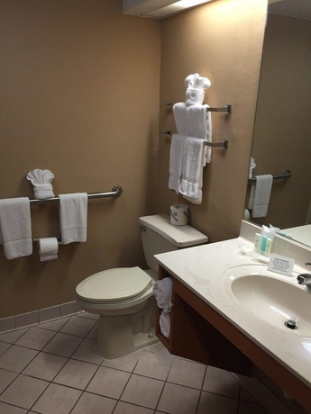 Imagen general del Hotel Comfort Suites South Park. Foto 4