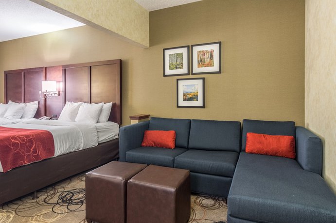 Imagen de la habitación del Hotel Comfort Suites, Southfield. Foto 17