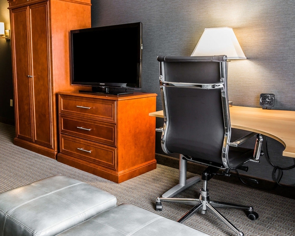 Imagen de la habitación del Hotel Comfort Suites Southgate. Foto 3