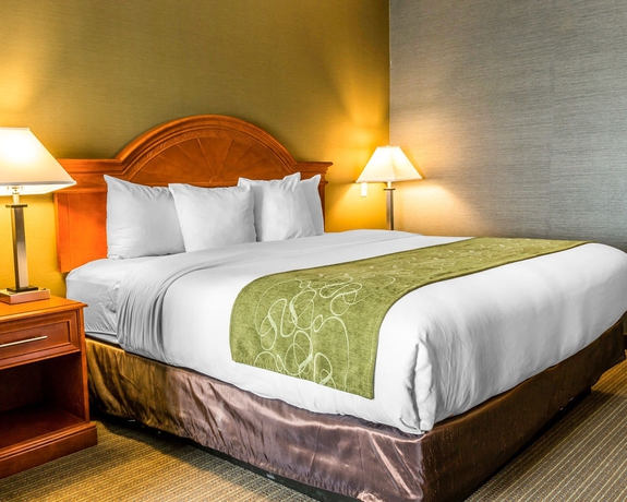 Imagen de la habitación del Hotel Comfort Suites Southgate. Foto 4