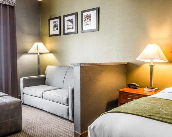 Imagen de la habitación del Hotel Comfort Suites Southgate. Foto 5