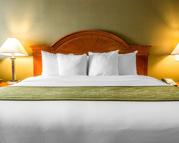 Imagen de la habitación del Hotel Comfort Suites Southgate. Foto 6