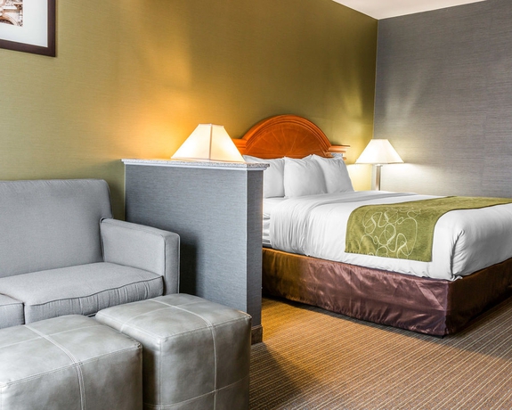 Imagen de la habitación del Hotel Comfort Suites Southgate. Foto 8
