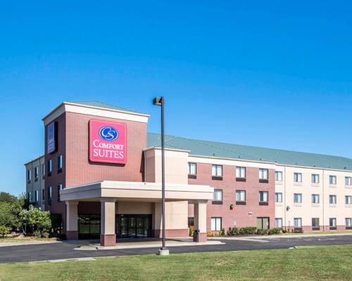 Imagen general del Hotel Comfort Suites Speedway - Kansas City. Foto 1