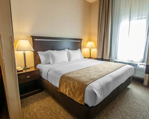 Imagen de la habitación del Hotel Comfort Suites Speedway - Kansas City. Foto 7