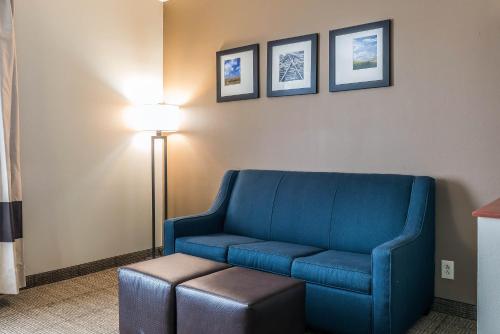 Imagen de la habitación del Hotel Comfort Suites Springfield. Foto 6