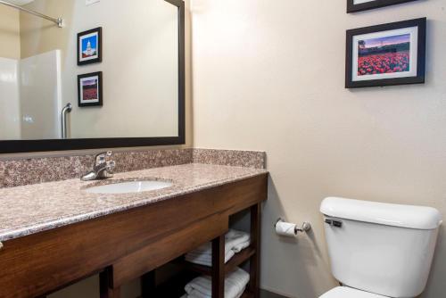 Imagen de la habitación del Hotel Comfort Suites Springfield. Foto 7