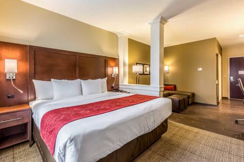 Imagen de la habitación del Hotel Comfort Suites St George - University Area. Foto 8