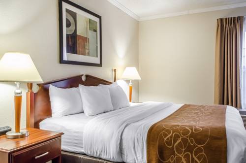 Imagen de la habitación del Hotel Comfort Suites State College Near The University. Foto 3