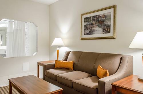 Imagen de la habitación del Hotel Comfort Suites State College Near The University. Foto 5