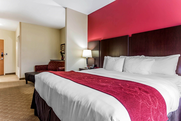 Imagen de la habitación del Hotel Comfort Suites Stockbridge Atlanta South. Foto 6