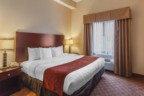 Imagen de la habitación del Hotel Comfort Suites Suffolk - Chesapeake. Foto 3