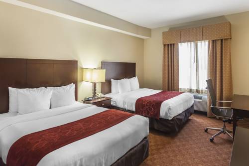 Imagen de la habitación del Hotel Comfort Suites Suffolk - Chesapeake. Foto 5
