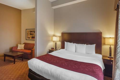 Imagen de la habitación del Hotel Comfort Suites Suffolk - Chesapeake. Foto 6
