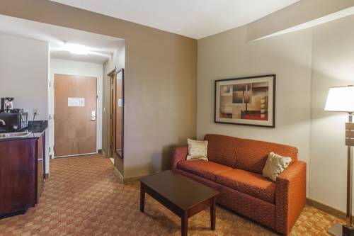 Imagen de la habitación del Hotel Comfort Suites Suffolk - Chesapeake. Foto 11