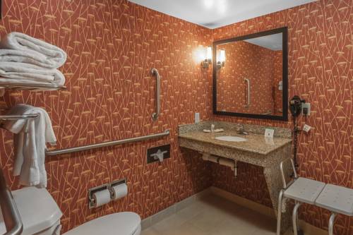Imagen de la habitación del Hotel Comfort Suites Suffolk - Chesapeake. Foto 12