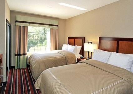 Imagen de la habitación del Hotel Comfort Suites Sulphur - Lake Charles. Foto 3