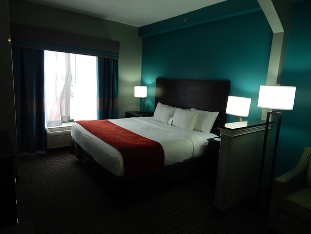 Imagen de la habitación del Hotel Comfort Suites, Tampa . Foto 7