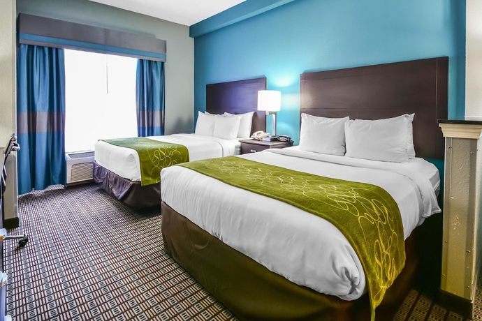 Imagen de la habitación del Hotel Comfort Suites, Tampa . Foto 11