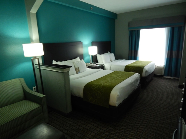 Imagen de la habitación del Hotel Comfort Suites, Tampa . Foto 13