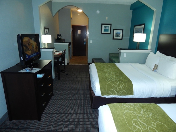 Imagen de la habitación del Hotel Comfort Suites, Tampa . Foto 14
