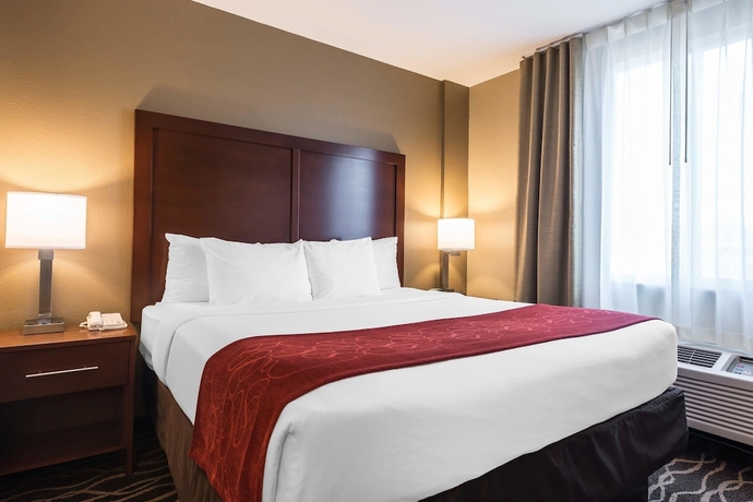 Imagen de la habitación del Hotel Comfort Suites Tampa Airport North. Foto 2