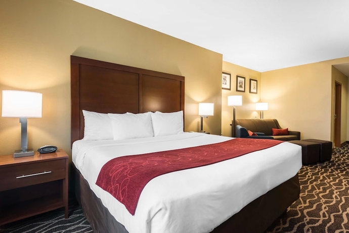 Imagen de la habitación del Hotel Comfort Suites Tampa Airport North. Foto 5