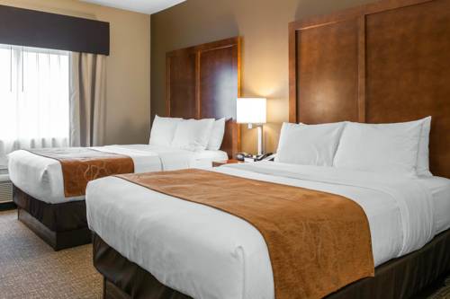 Imagen de la habitación del Hotel Comfort Suites, Terre Haute. Foto 4