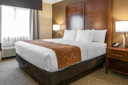 Imagen de la habitación del Hotel Comfort Suites, Terre Haute. Foto 5