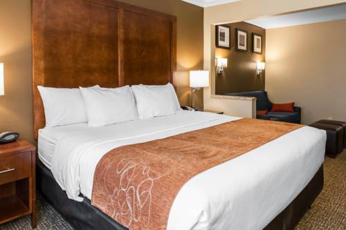 Imagen de la habitación del Hotel Comfort Suites, Terre Haute. Foto 6