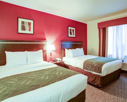 Imagen general del Hotel Comfort Suites Texas Ave.. Foto 1