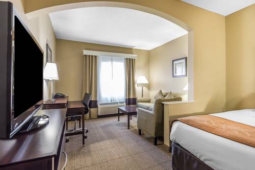 Imagen de la habitación del Hotel Comfort Suites The Colony - Plano West. Foto 3