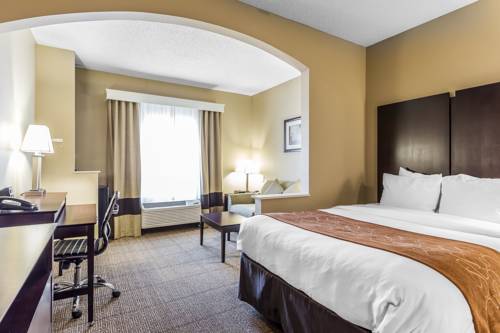 Imagen de la habitación del Hotel Comfort Suites The Colony - Plano West. Foto 6