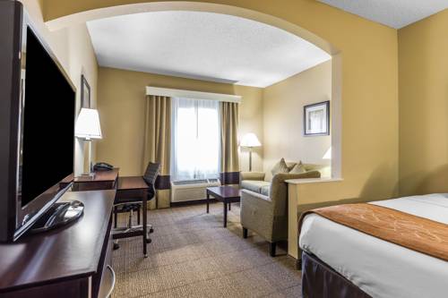 Imagen de la habitación del Hotel Comfort Suites The Colony - Plano West. Foto 12