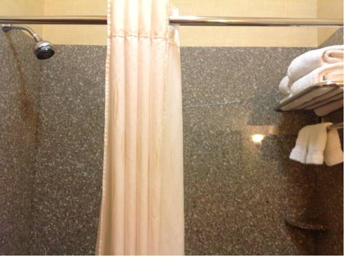 Imagen general del Hotel Comfort Suites Tomball Medical Center. Foto 1
