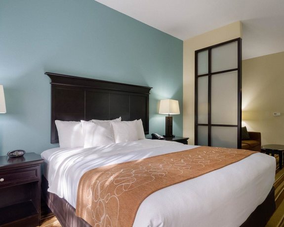 Imagen de la habitación del Hotel Comfort Suites Topeka Northwest. Foto 5