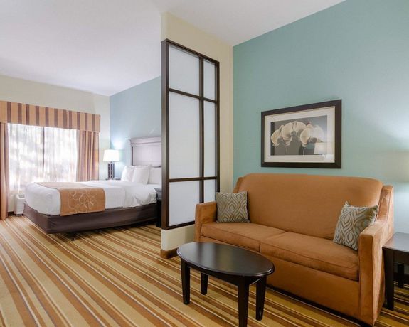 Imagen de la habitación del Hotel Comfort Suites Topeka Northwest. Foto 13