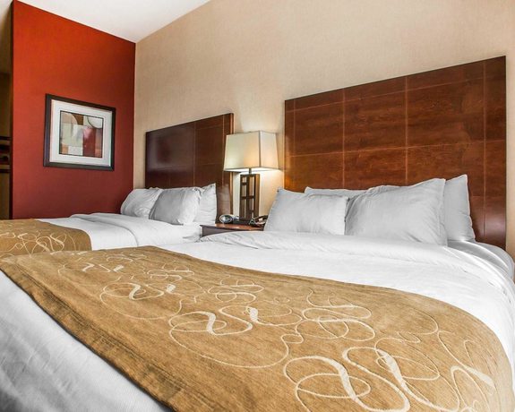 Imagen de la habitación del Hotel Comfort Suites Troy-i75. Foto 11
