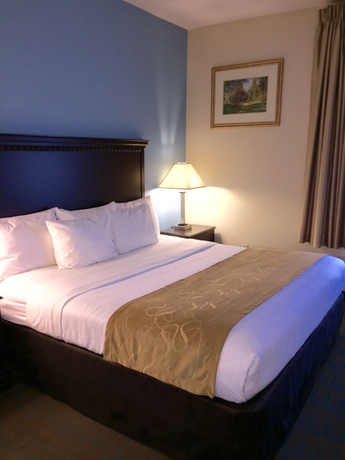 Imagen de la habitación del Hotel Comfort Suites, Tulare. Foto 5