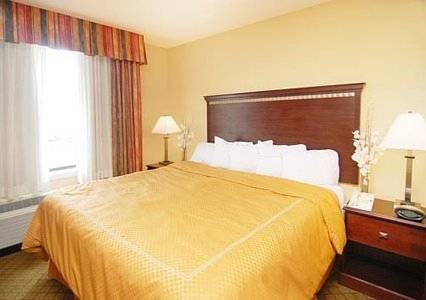 Imagen de la habitación del Hotel Comfort Suites Tuscaloosa Near University. Foto 3