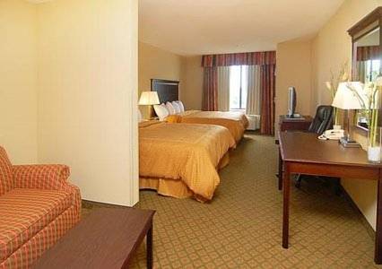 Imagen general del Hotel Comfort Suites Tuscaloosa Near University. Foto 1