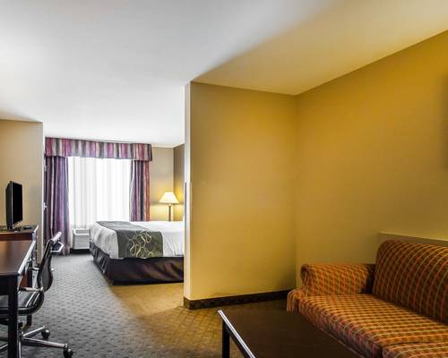Imagen de la habitación del Hotel Comfort Suites Tuscaloosa Near University. Foto 5