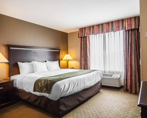 Imagen de la habitación del Hotel Comfort Suites Tuscaloosa Near University. Foto 7