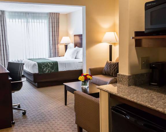 Imagen de la habitación del Hotel Comfort Suites University Area Notre Dame - South Bend. Foto 6