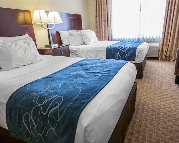 Imagen de la habitación del Hotel Comfort Suites University Area Notre Dame - South Bend. Foto 12