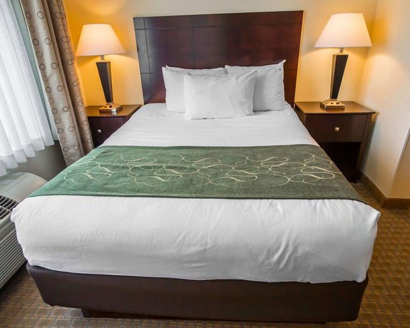 Imagen de la habitación del Hotel Comfort Suites University Area Notre Dame - South Bend. Foto 14