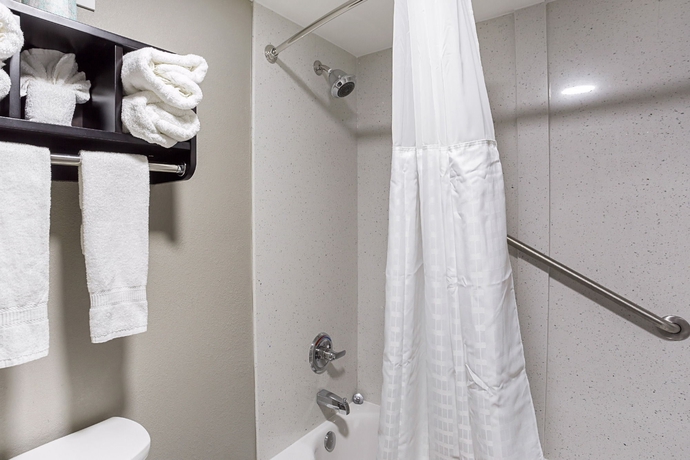 Imagen de la habitación del Hotel Comfort Suites University, Baton Rouge. Foto 7