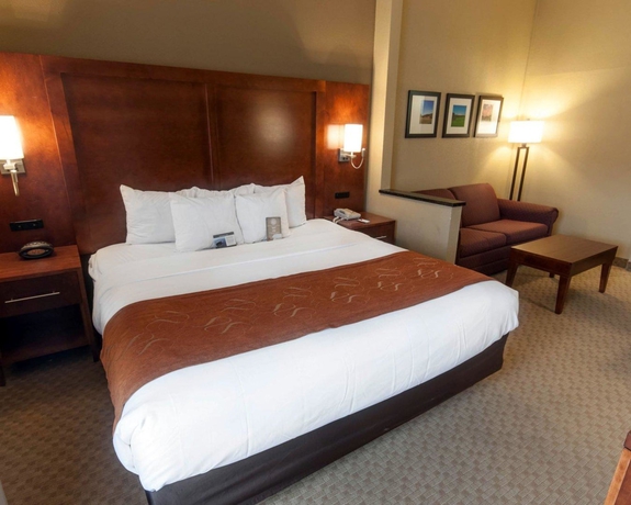 Imagen de la habitación del Hotel Comfort Suites University, Bethlehem. Foto 6