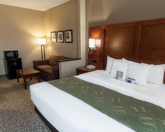 Imagen de la habitación del Hotel Comfort Suites University, Bethlehem. Foto 8
