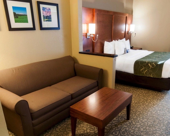 Imagen de la habitación del Hotel Comfort Suites University, Bethlehem. Foto 9